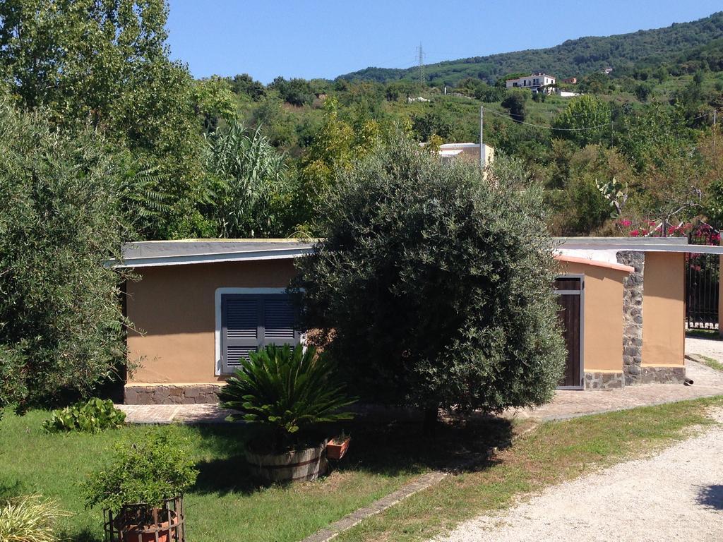Domus Agricolae Corallina Torre del Greco Bilik gambar