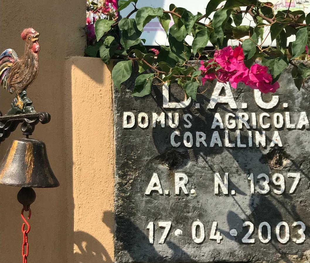 Domus Agricolae Corallina Torre del Greco Luaran gambar